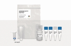 Slika Gel/PCR DNA Fragment Extraction Kit