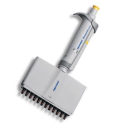 Slika Multichannel microliter pipettes Eppendorf Research<sup>&reg;</sup> plus (General Lab Product), variable