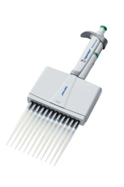 Slika Multichannel microliter pipettes Eppendorf Research<sup>&reg;</sup> plus (General Lab Product), variable