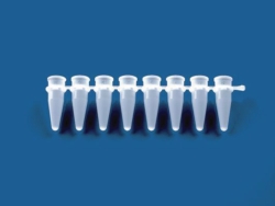 Strips of 8-/12- PCR tubes plus detached cap strips, PP