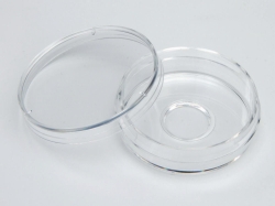 Glass-bottomed trays, Nunc &trade;, borosilicate