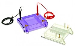 Accessories for Gel Electrophoresis Tank MultiSUB MiniRapide