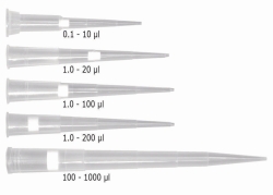 Slika LLG-Filter tips 2.0 Low Retention, PP