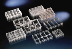 Slika Multidishes, Nunc&trade; cell culture treated surface, PS, sterile