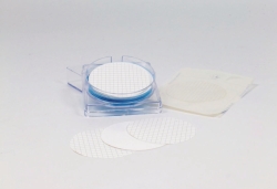 Slika Membran<I>e</I> filters, mixed cellulose ester, with grid