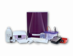 WESTERN BLOTTING WORKFLOW SOLUTION WITH