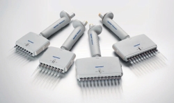 Slika Multichannel microliter pipettes Eppendorf Reference<sup>&reg;</sup> 2 (General Lab Product), variable