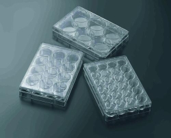 Slika 3D Cell culture plates CellSCAFLD<sup>&reg;</sup>, treated, PS, sterile