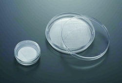 Slika 3D Cell culture dishes CellSCAFLD<sup>&reg;</sup>, treated, PS, sterile