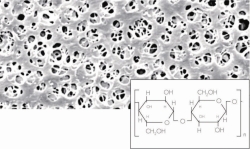 Slika Membrane filters, regenerated cellulose
