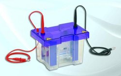 Gel electrophoresis tank OmniPage Mini