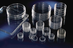 Cell Culture Dishes, Nunclon&trade;&Delta; Surface, PS, treated, sterile, square