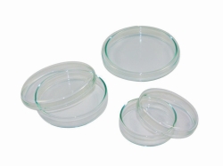 Slika LLG-Petri dishes, soda-lime glass