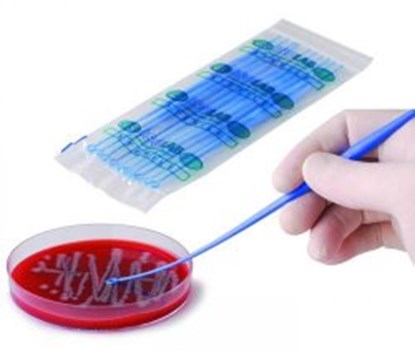 Slika LLG-Inoculation loops, PS, double, loop/needle