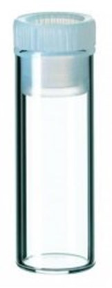 Slika LLG-Shell Vials with PE cap (fire-polished neck) ND8, ND12, ND15