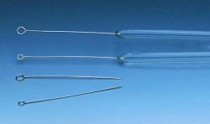 Slika Inoculation loops, platinum-iridium, fused into glass rod