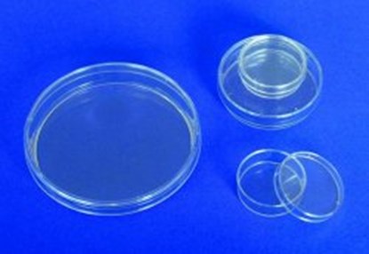 Slika Petri dishes, PS