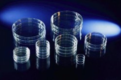 Slika Petri Dishes, PS