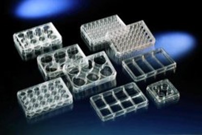 Slika Multidishes, Nunc&trade; cell culture treated surface, PS, sterile