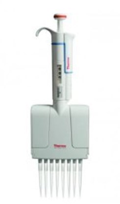 Slika Multichannel microliter pipettes Finnpipette&trade; F1, variable