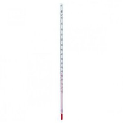 Slika General-purpose thermometers, red filling