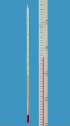 Slika General purpose thermometers, solid stem