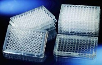 Slika 96 Well Immuno Plates, PS, flat bottom