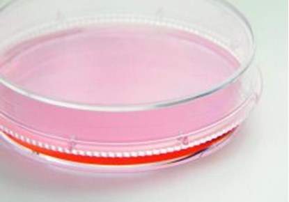 Slika Cell and Tissue Culture Dishes, Nunc&trade; EasYDish&trade;, PS, sterile