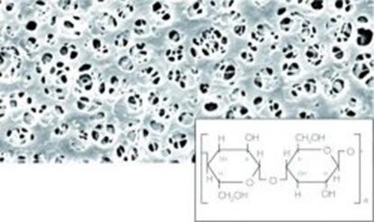 Slika Membrane filters, regenerated cellulose