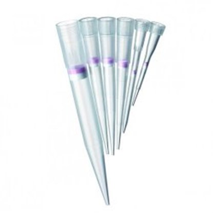 Slika Pipette Tips ep-Dualfilter T.I.P.S.<sup>&reg;</sup> SealMax (General Lab Product)