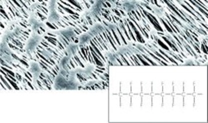 Slika Membranfilter, hydrophob, PTFE