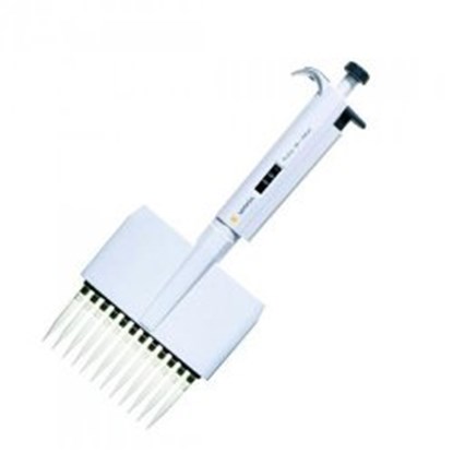 Slika Multichannel pipettes, Proline<sup>&reg;</sup>, mechanical, variable, 8- and 12-channel