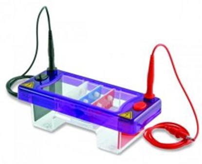 Slika Electrophoresis package MSMINIDUO-NANO300