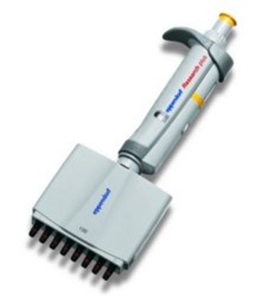 Slika Multichannel microliter pipettes Eppendorf Research<sup>&reg;</sup> plus (General Lab Product), variable