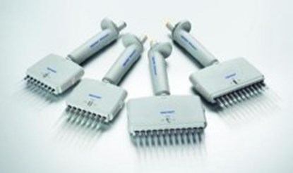 Slika Multichannel microliter pipettes Eppendorf Reference<sup>&reg;</sup> 2 (General Lab Product), variable